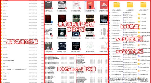 網(wǎng)絡(luò)安全與黑客技術(shù) 自學(xué)計算機軟硬件的全面指南